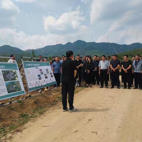 学经验，取真经——下峪镇开启乡村振兴学习观摩“充电”模式