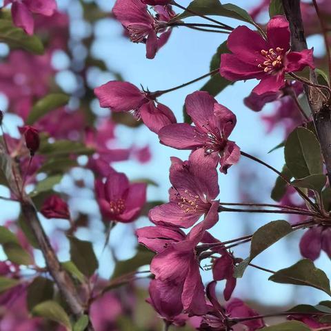 记录2025年5月23日之前的爱💗