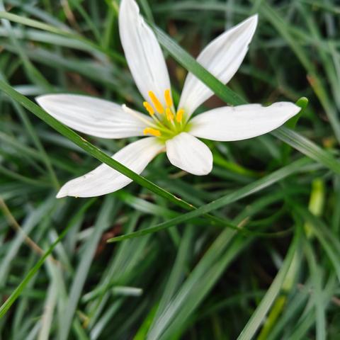 怀揣育人梦想 共赴教研之旅