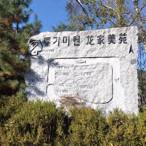 또 다시 룡가미원을 찾아서