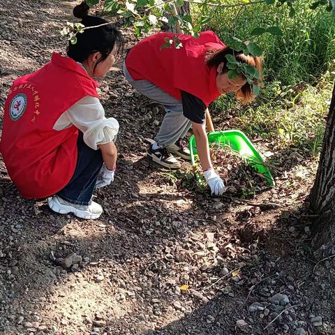 音德尔镇东升村人居环境卫生整治在行动