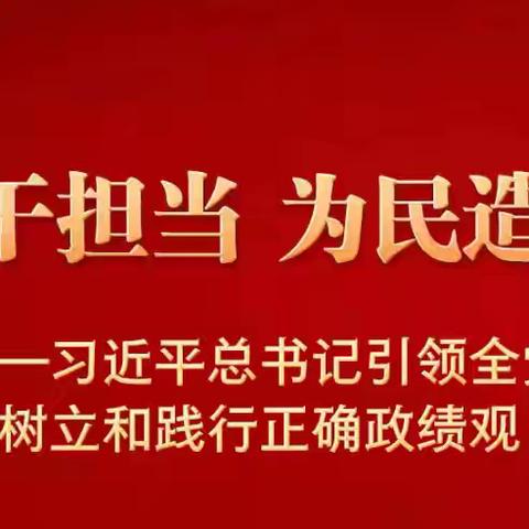 开展树立和践行正确政绩观学习教育党建学习（二）