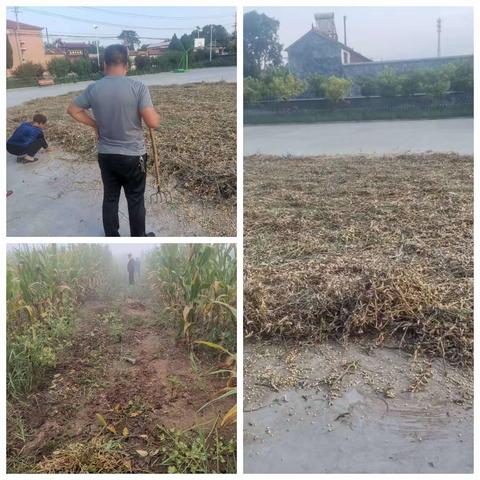 宋村网格员的日常工作