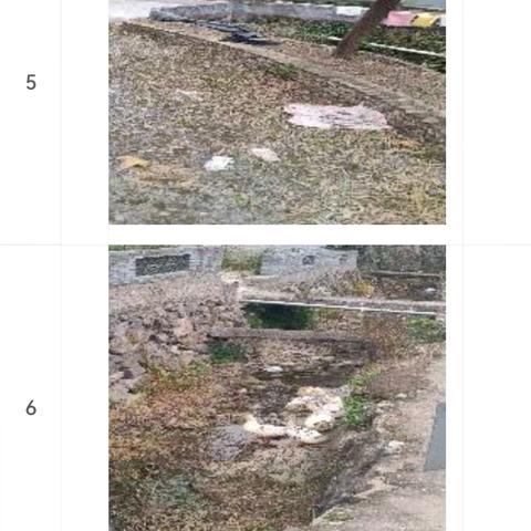 环境卫生大整治