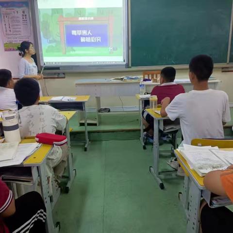 南董镇南董小学禁毒宣传活动