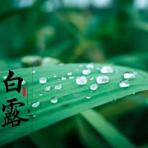 白露节气，中老年人到底应该如何养生？