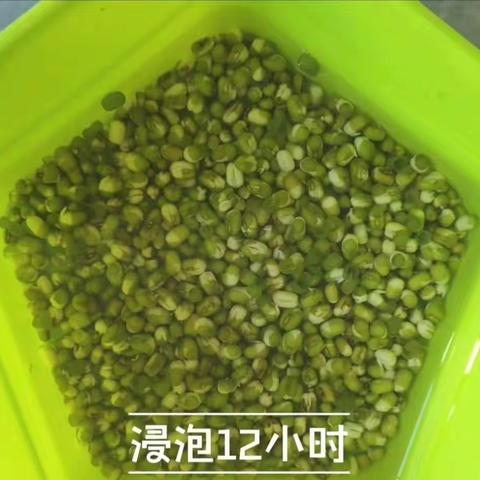 338喻玉莹暑假综合实践