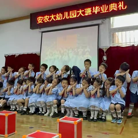 挥别“幼”时光，逐梦再起航—安农大幼儿园大三班毕业典礼