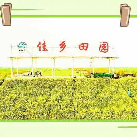 朱官屯金色童年幼儿园🌸国学童军营