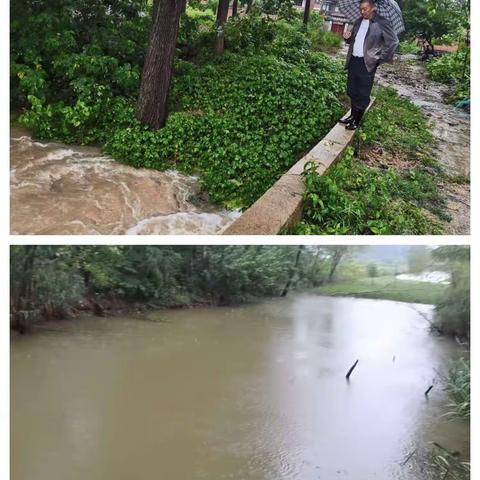 金山村：村组干部齐上阵 疏沟排水解民困