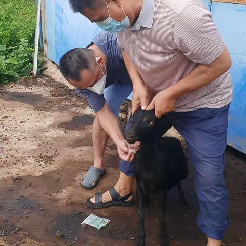 2023年9月老城开展秋防工作