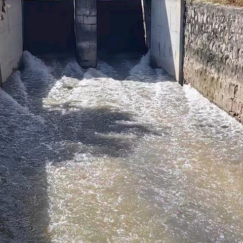 磁县跃峰渠灌区2024年秋灌通水！