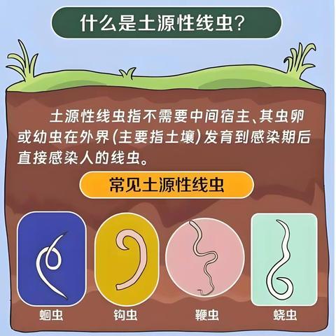 土源性线虫病防治知识                                           霍州疾控地病科宣