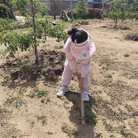 五一劳动节 共庆劳动之美-——三年级七班杜松凝