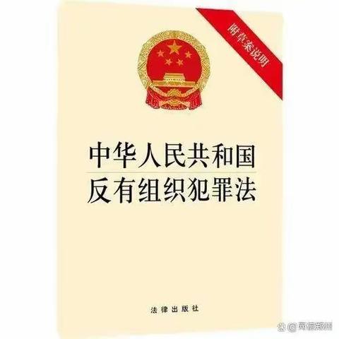 甘南分行碌曲支行员工深入学习《反有组织犯罪法》