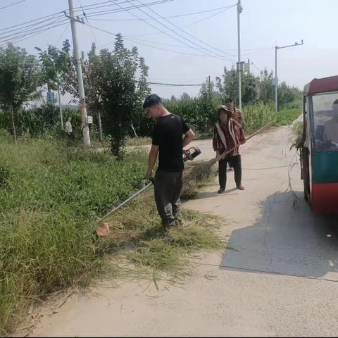 蒋李集镇开展全镇环境大提升。