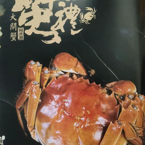 大闸蟹品牌：蟹太太、蟹状元、阳澄湖、蟹金秋产品价目