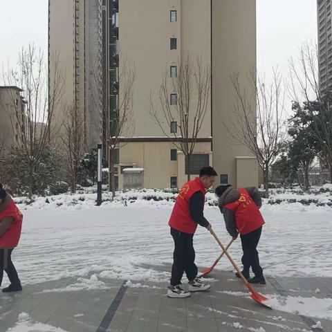 紫荆路街道祥瑞社区组织开展扫雪除冰志愿服务活动