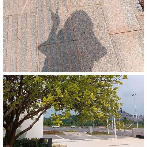 金富高铁滨河院第二期