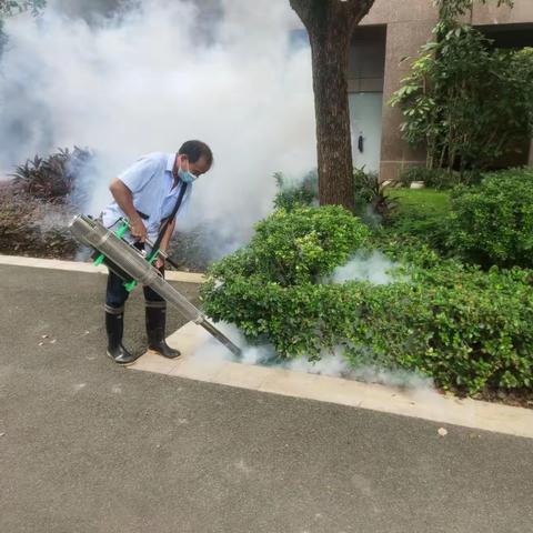 不漏一处！建新开展全镇第二次统一消杀