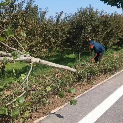 曲周县地方站开展农村公路安全隐患排查整治工作