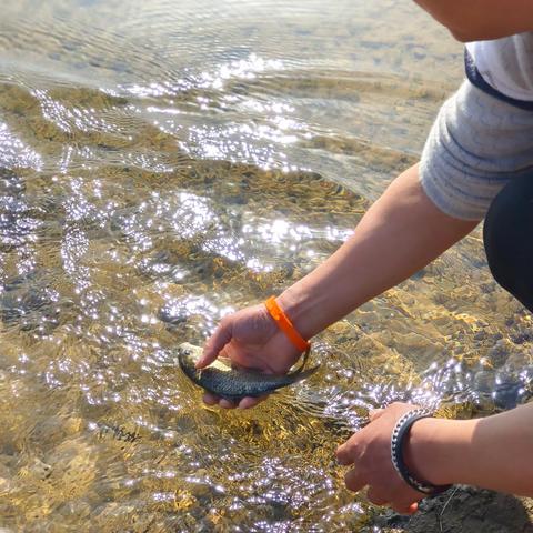 衡南县云集湘江河流 ——2026元旦首届善友志愿加入募捐爱心公益放生功德回向活动：日行一善，让心归零，守护生命，祈福中华！