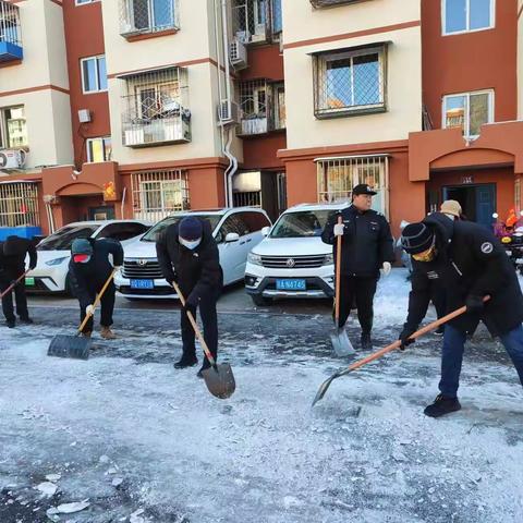 铲雪除冰在行动，齐心协力保畅通——悦秀园社区铲雪除冰活动