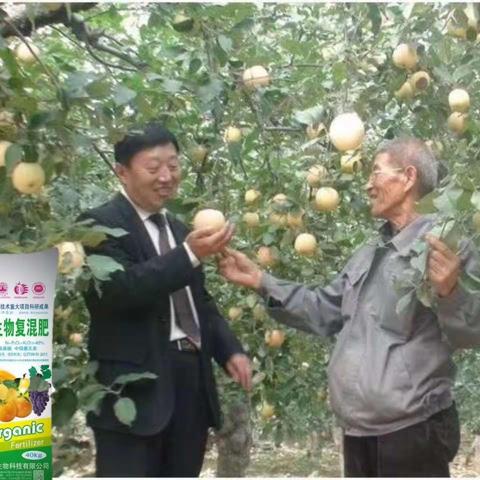 周天生物科技访谈一走进石家庄市圆景苹果种植基地。