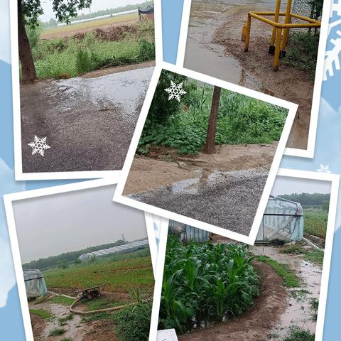 雨天隐患排查  守护网格平安
