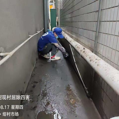 顺德东亚白蚁有限公司于2023年8月17日对陈村街道（包一）除四害工作内容如下