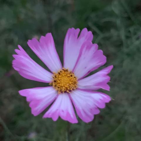 用户12214645的简篇