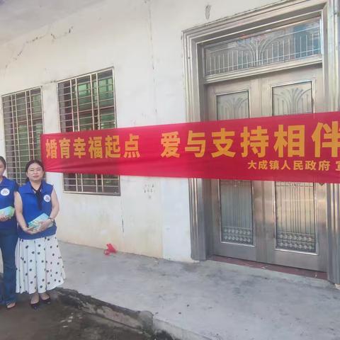 大成镇民政服务站开展“优化人口结构，共绘幸福蓝图”社区宣传活动