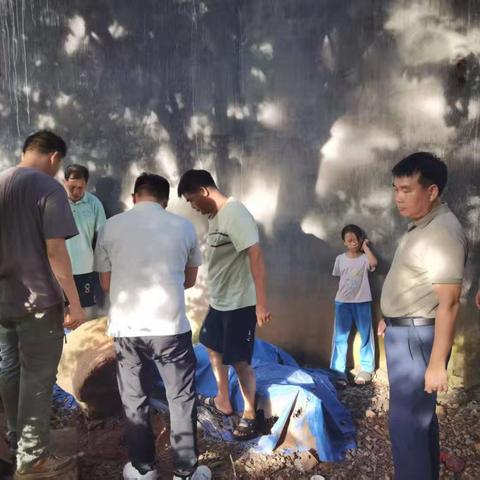 大成镇民政服务站开展“科学防蚊护健康，社民同行守家园”社区宣传活动