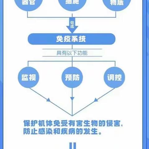 提高免疫力，当好自己健康的第一负责人