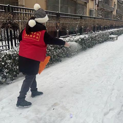 普圆街社区积极开展扫雪除冰志愿行动