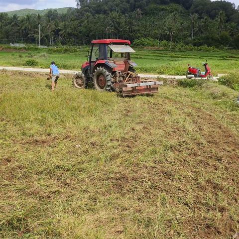 红鞋村委会，