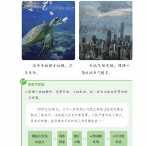 九（2）班第18周教学计划