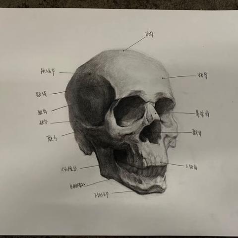 素描典型卷分析