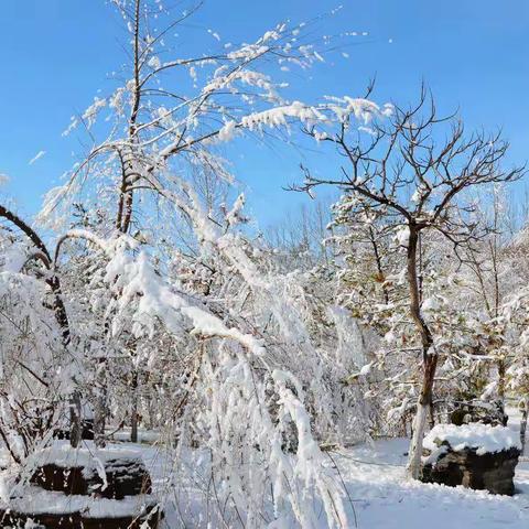 扫雪除冰，你们是今天最美的风景。