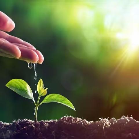 绽放•无悔 ——“ 最美教师”冯琼玉个人事迹