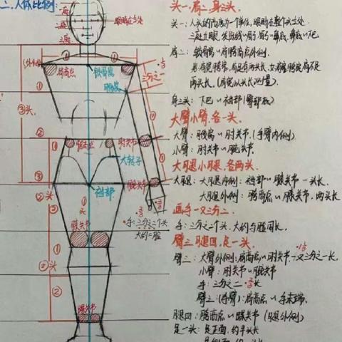 五美四心艺术培训 2024年寒假十五期作品鉴赏