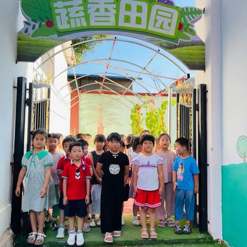 沂蒙中学幼儿园大五班—那些菜地里的趣事