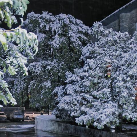 雪落济村景如诗，关爱群众暖若春