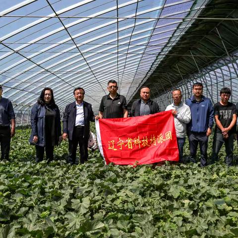 望花区举办科技活动周   选派特派团科技惠农