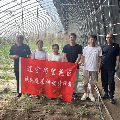 科技特派团深入塔峪镇 科学指导农业恢复生产