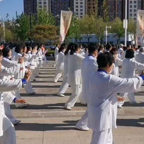 延安市太极拳协会共赴 2025 延安新区第四届牡丹鉴系列文化活动