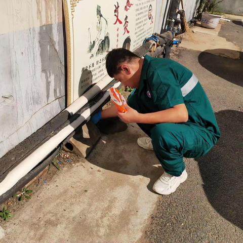 工人村社区卫生服务中心开展夏季统一消杀蚊蝇和灭鼠活动