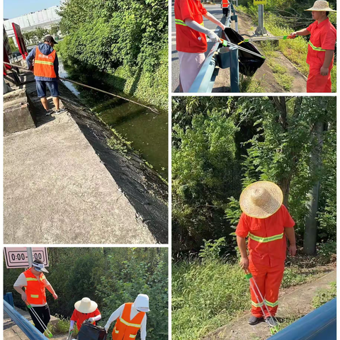 东西湖区开展“武汉以我为荣·小行大爱”清洁家园活动