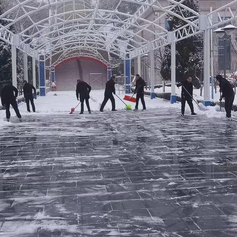 大雪润万物，网格献真情