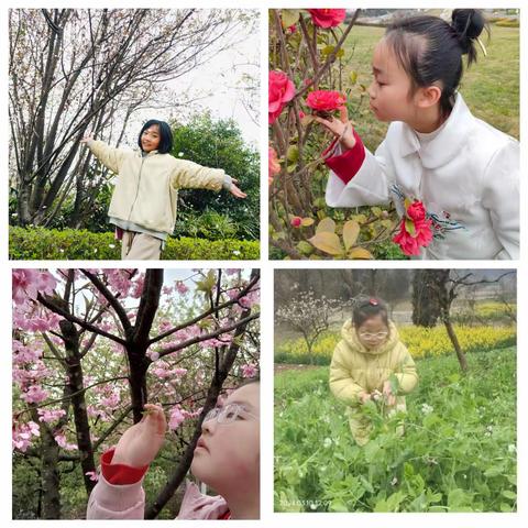 上春山     植新绿——南充市行知小学开展植树节活动